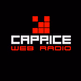 Radio Caprice - Progressive / Atmospheric Breaks logo
