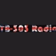 TB-303 Radio logo