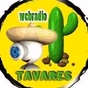 Web Rádio Tavares logo