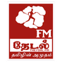 Theydal FM logo