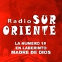 Radio Sur Oriente FM logo