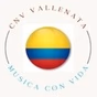 Cnv Radio - Cnv Vallenata logo
