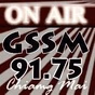 GSSM logo