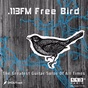 113FM Radio - Free Bird logo
