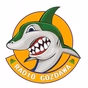 Radio Gozdawa Live logo