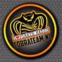 Cobra Team Radio logo