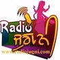 Radio Jugni logo