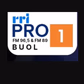 RRI - PRO1 Buol logo