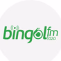 Bingöl FM logo