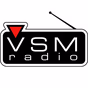 VSM RADIO logo