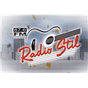 Radio Stil 87.6 logo