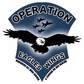 Operation Eagles Wings - US Military Killed in War logo