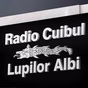 Radio Cuibul Lupilor Albi logo