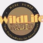 Wild Life Radio - Main Stream logo