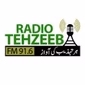 Radio Tehzeeb logo