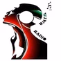 WJWR Radio logo