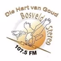 Bosveld Stereo logo