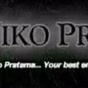 Bali Niko Pratama logo