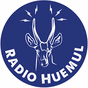 Radio Huemul logo