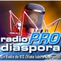 Radio Pro Diaspora logo
