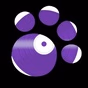 Berlin Radio International logo