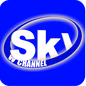 Sky W Channel logo