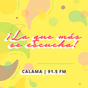 Radio Carnaval Calama logo