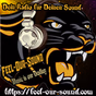 Feel-Our-Sound logo