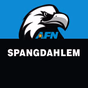 AFN Spangdahlem - The Eagle logo