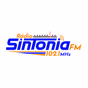 Rádio Sintonia FM logo