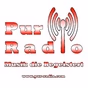 Pur Radio - Oberkrainer Pur logo