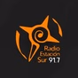 Radio Estación Sur logo
