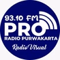 PRO 93.10 FM logo