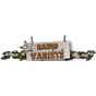 Radio Varit logo