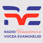 Radio Vocea Evangheliei Hunedoara logo