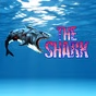 Audilous - The Shark logo