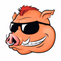 92.3 The Hog - WHHG logo
