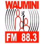 Radio Waumini logo