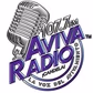 Aviva Radio - KNNN-LP logo