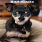 Bud Radio logo