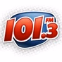 Radio 101,3 FM logo