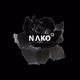 Logo de NAKO RADIO