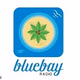 Logo de Bluebay Radio