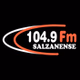 Rádio Salzanense logo