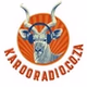 Karoo Radio logo