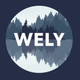 Logo de WELY Radio - WELY-FM