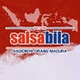 94.1 Salsabila FM logo