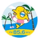 湘南マジックウェイブ logo