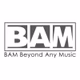 Logo de BAM WebRadio