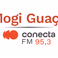 Rádio Conecta 95.3 FM logo